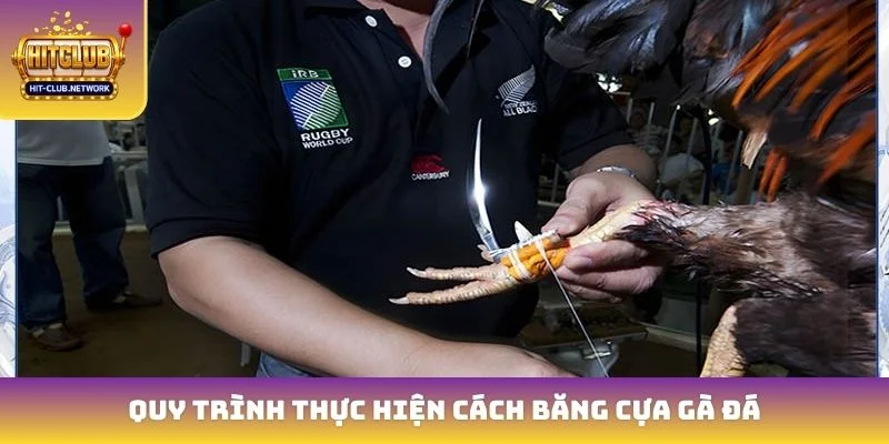 Quy trình thực hiện cách băng cựa gà đá