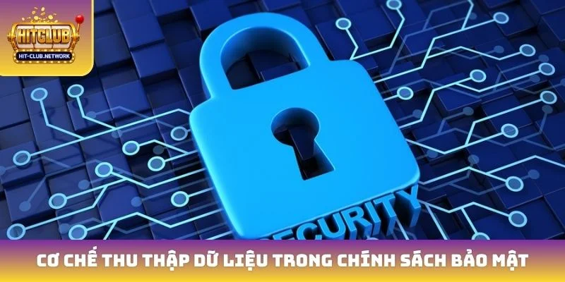 Cơ chế thu thập dữ liệu trong chính sách bảo mật