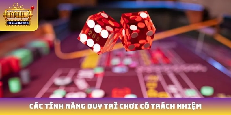 Các tính năng duy trì chơi có trách nhiệm