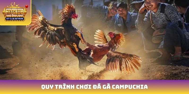 Quy trình chơi đá gà Campuchia