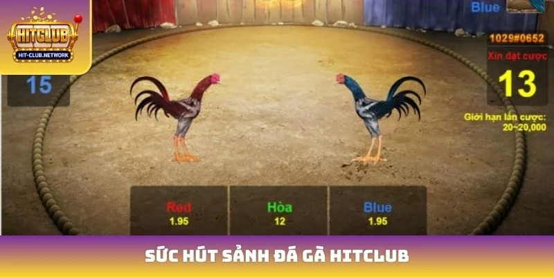 Sức hút sảnh đá gà Hitclub