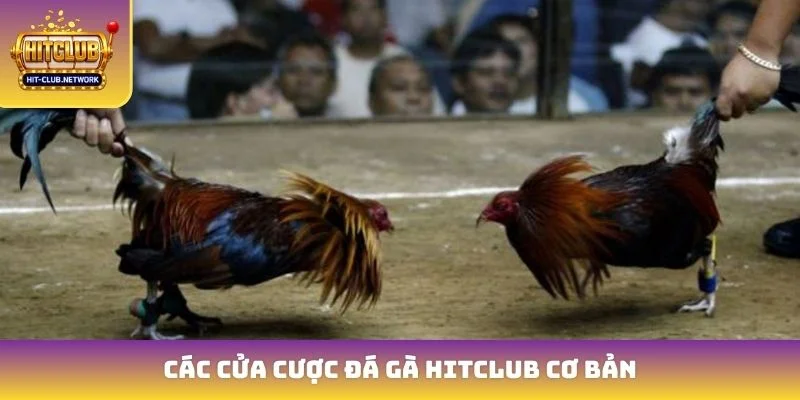 Các cửa cược đá gà Hitclub cơ bản