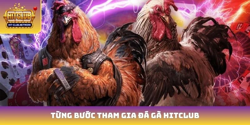 Từng bước tham gia đá gà Hitclub