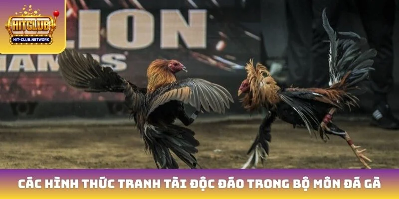 Các hình thức tranh tài độc đáo trong bộ môn đá gà